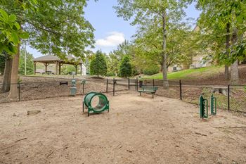 Dog park with agility equipment